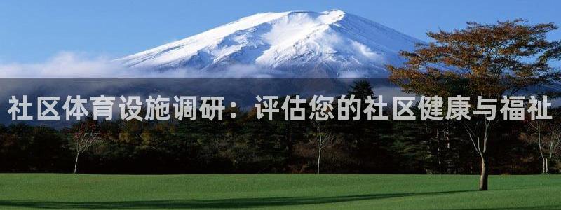 意昂3集团简介：社区体育设施调研：评估您的社区健康与