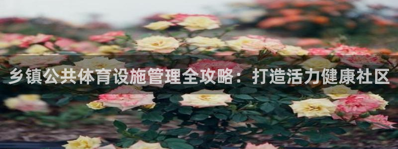 意昂体育3招商电话地址查询：乡镇公共体育设施管理全攻