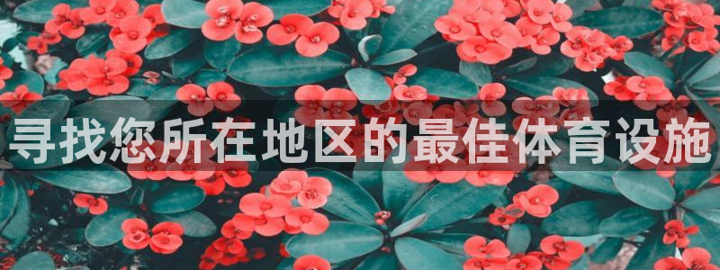 意昂体育3官方客服电话：寻找您所在地区的最佳体育设施