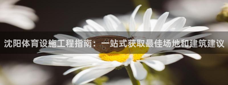 意昂3官网：沈阳体育设施工程指南：一站式获取最佳场地