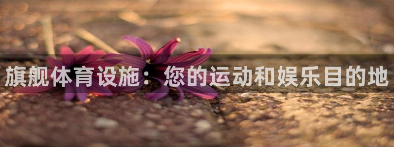 意昂3开户：旗舰体育设施：您的运动和娱乐目的地