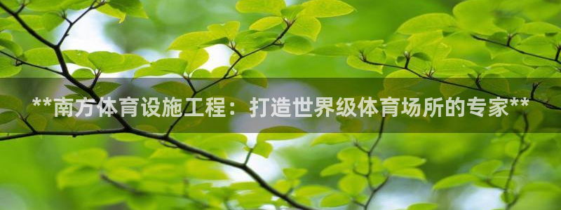 意昂体育3平台假的吗是真的吗：**南方体育设施工程：