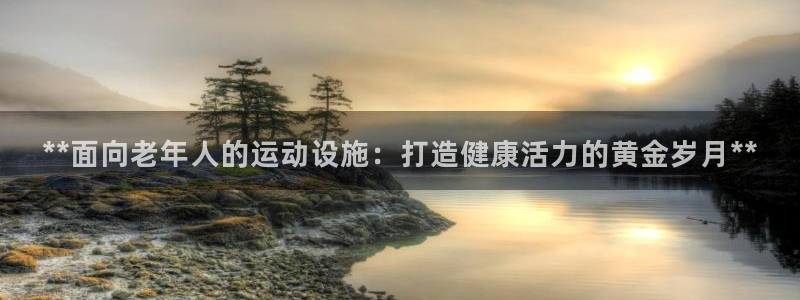 德国意昂3集团：**面向老年人的运动设施：打造健康活
