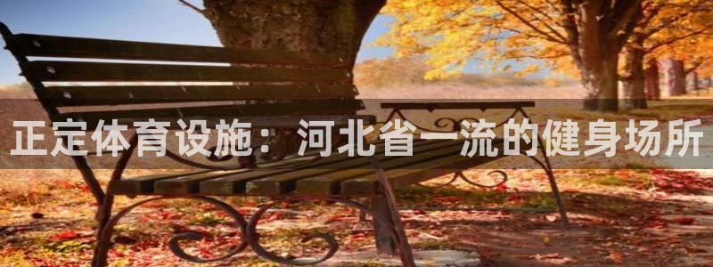 意昂体育3平台是正规平台吗知乎：正定体育设施：河北省