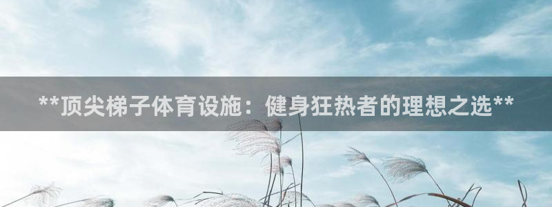 意昂3集团logo：**顶尖梯子体育设施：健身狂热者