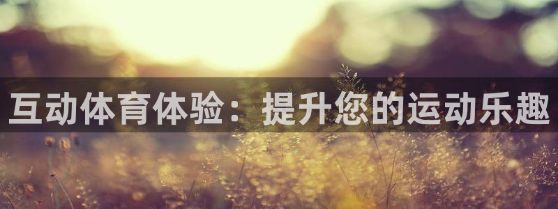 意昂体育3开户：互动体育体验：提升您的运动乐趣