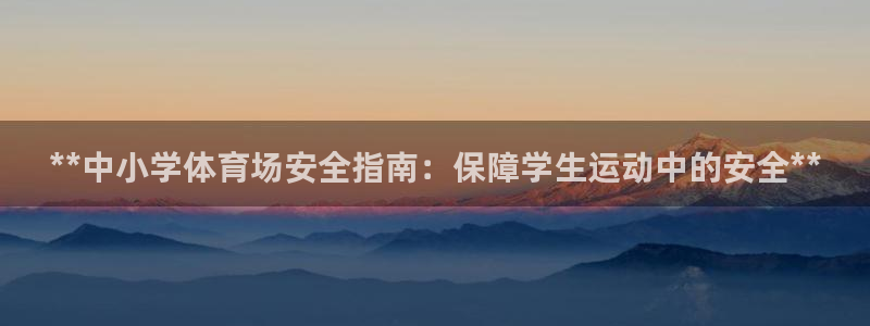 意昂3娱乐代理怎么样：**中小学体育场安全指南：保障
