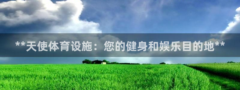 意昂体育3是干嘛的公司：**天使体育设施：您的健身和
