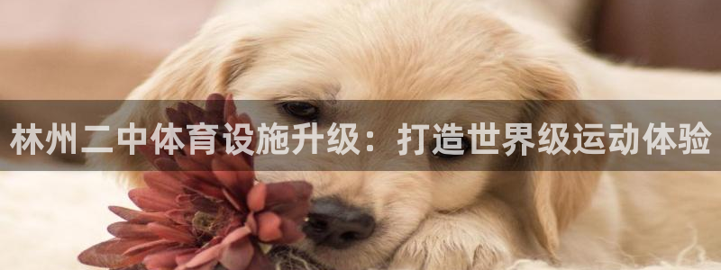 意昂3娱乐40996：林州二中体育设施升级：打造世界