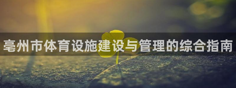 意昂3娱乐平台：亳州市体育设施建设与管理的综合指南