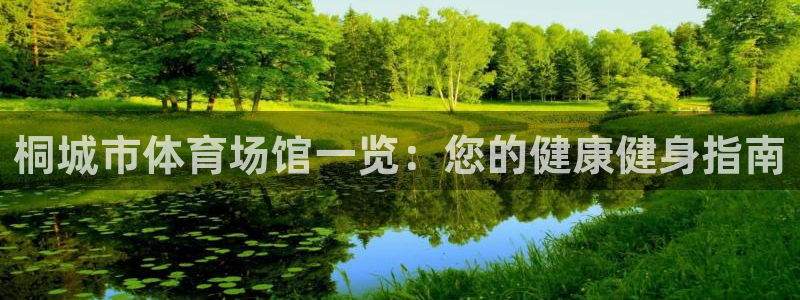 意昂体育3平台注册要钱吗：桐城市体育场馆一览：您的健