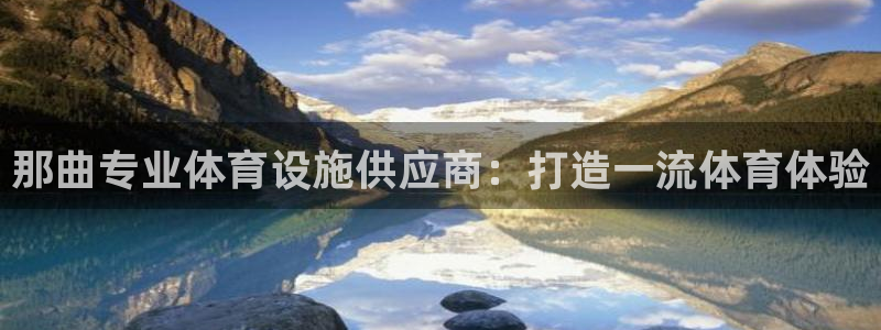 意昂体育3平台注册流程图：那曲专业体育设施供应商：打