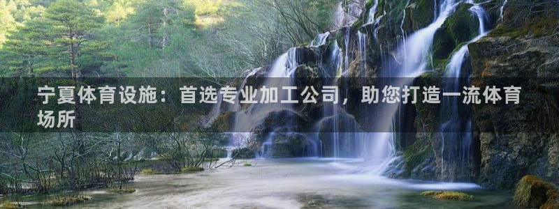 意昂体育3是干嘛的公司：宁夏体育设施：首选专业加工公
