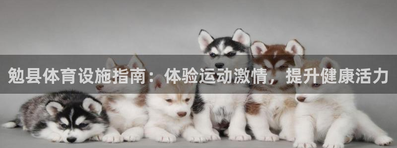意昂3神州：勉县体育设施指南：体验运动激情，提升健康