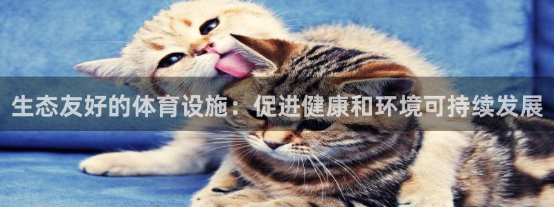 意昂体育3招商电话号码是多少：生态友好的体育设施：促