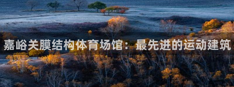意昂3科技：嘉峪关膜结构体育场馆：最先进的运动建筑