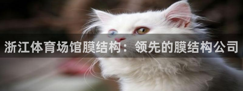 意昂3科技：浙江体育场馆膜结构：领先的膜结构公司