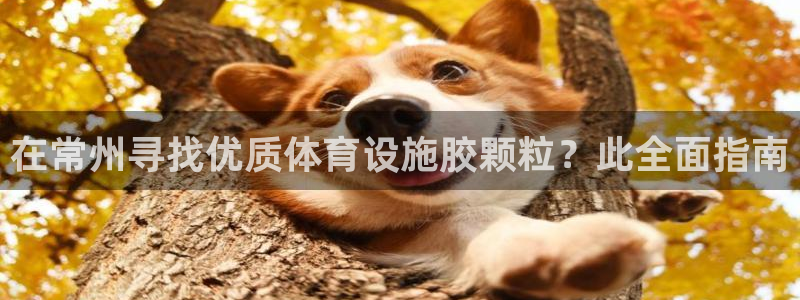 意昂体育3注册：在常州寻找优质体育设施胶颗粒？此全面