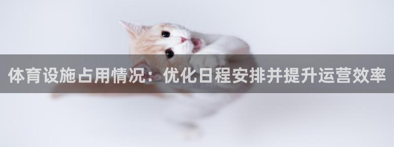 意昂体育3平台假的吗是真的吗吗：体育设施占用情况：优