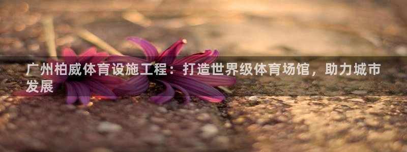 意昂体育3官方客服电话：广州柏威体育设施工程：打造世