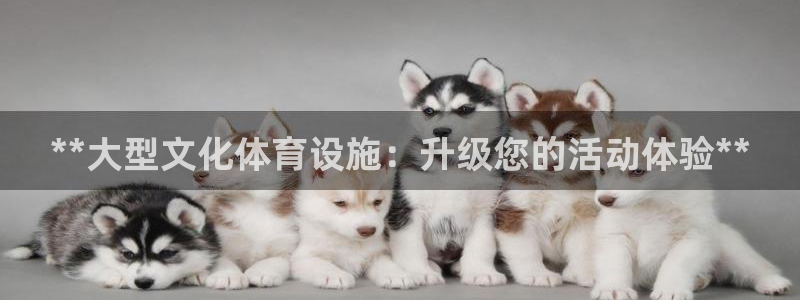 意昂体育3招商电话地址查询：**大型文化体育设施：升