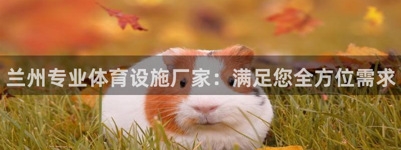 意昂3官网：兰州专业体育设施厂家：满足您全方位需求