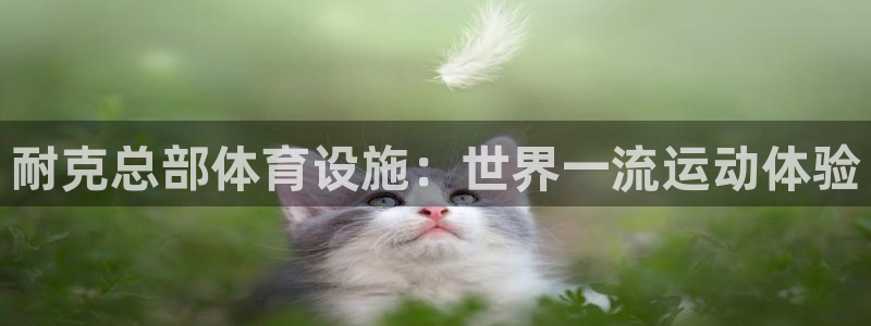 意昂3集团官网首页：耐克总部体育设施：世界一流运动体