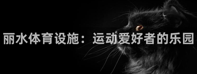 意昂3娱乐40996：丽水体育设施：运动爱好者的乐园