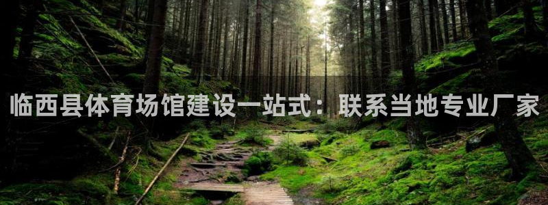 德国意昂3集团：临西县体育场馆建设一站式：联系当地专