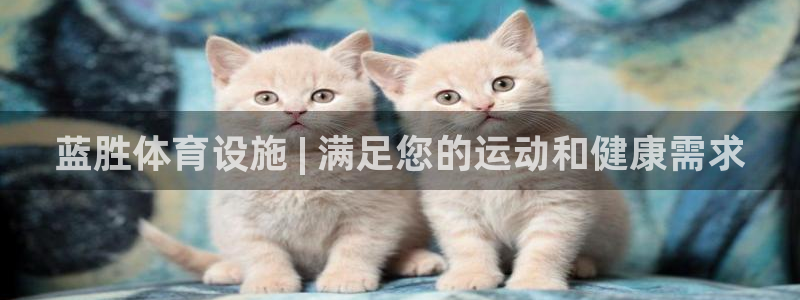 意昂体育3联系电话：蓝胜体育设施 | 满足您的运动和
