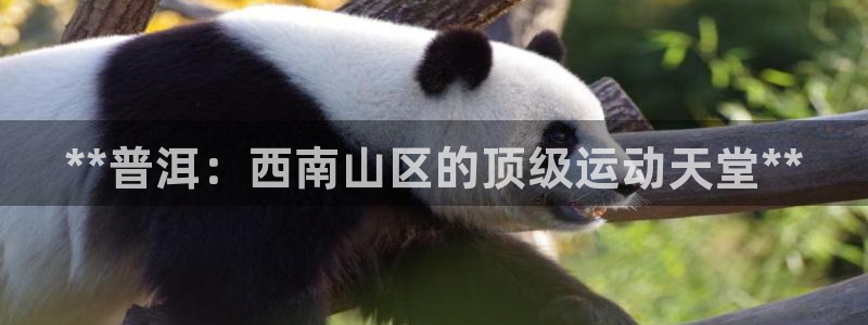 意昂3娱乐下载：**普洱：西南山区的顶级运动天堂**