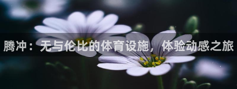 意昂3娱乐首页网站大全：腾冲：无与伦比的体育设施，体