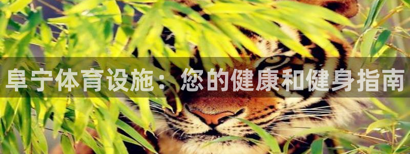 意昂体育3平台是正规平台吗安全吗：阜宁体育设施：您的