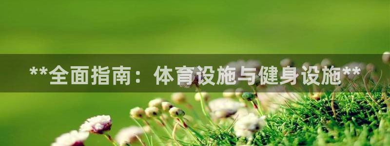 意昂3代理：**全面指南：体育设施与健身设施**