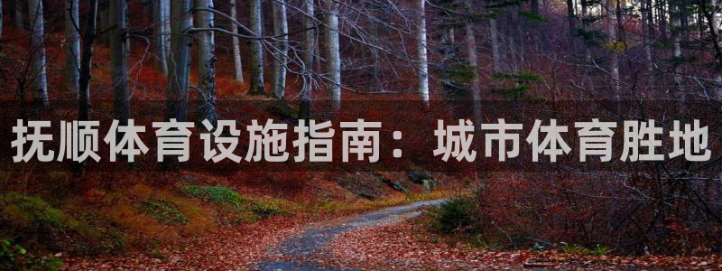 意昂3娱乐网站：抚顺体育设施指南：城市体育胜地