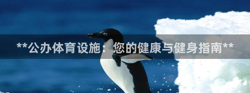 意昂体育3招商电话号码查询：**公办体育设施：您的健