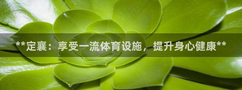 意昂体育3招商电话是多少啊：**定襄：享受一流体育设
