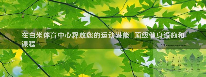 意昂体育3平台注册要钱吗：在白米体育中心释放您的运动