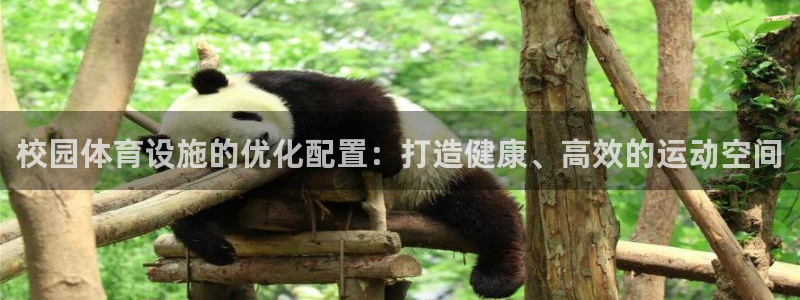 意昂体育3平台是正规平台吗：校园体育设施的优化配置：