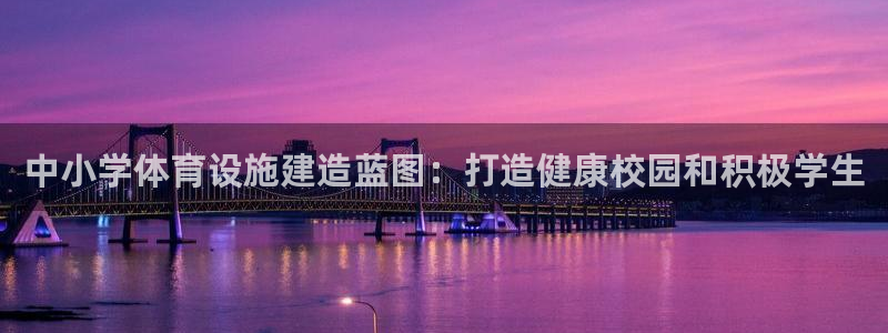 意昂体育3官方客服电话：中小学体育设施建造蓝图：打造