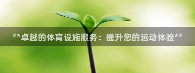 意昂体育3平台注册流程图：**卓越的体育设施服务：提