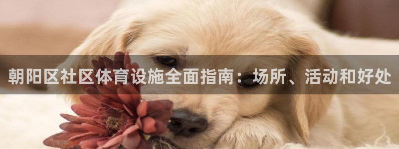 意昂3娱乐：朝阳区社区体育设施全面指南：场所、活动和