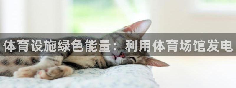 意昂体育3平台假的吗是真的吗：体育设施绿色能量：利用