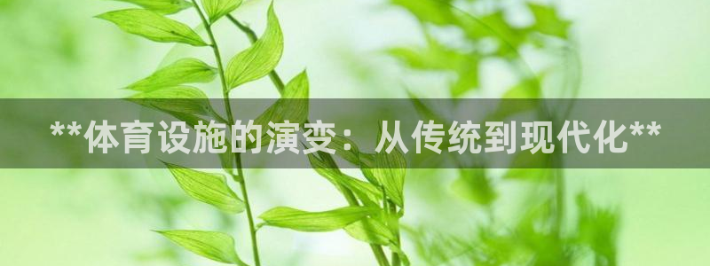意昂3娱乐网站：**体育设施的演变：从传统到现代化*