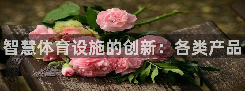 意昂3娱乐首页网站大全：智慧体育设施的创新：各类产品