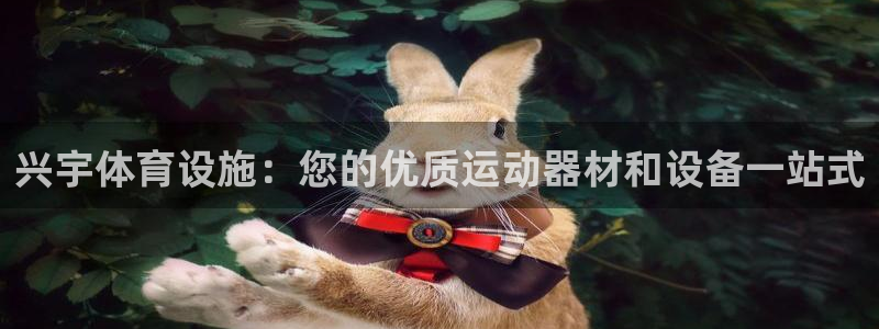 意昂体育3招商电话地址：兴宇体育设施：您的优质运动器