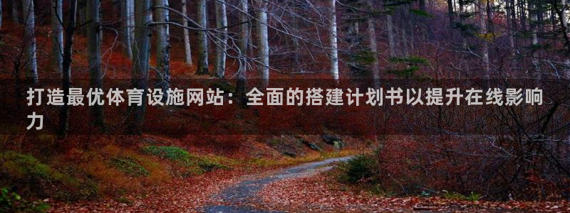 意昂体育3平台是正规平台吗安全吗：打造最优体育设施网