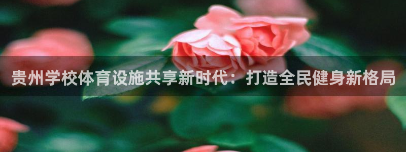 意昂体育3招商电话是多少啊：贵州学校体育设施共享新时