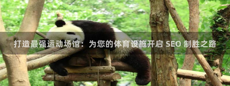意昂3集团简介：打造最强运动场馆：为您的体育设施开启