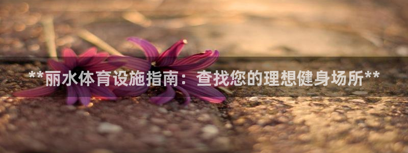 意昂3科技：**丽水体育设施指南：查找您的理想健身场